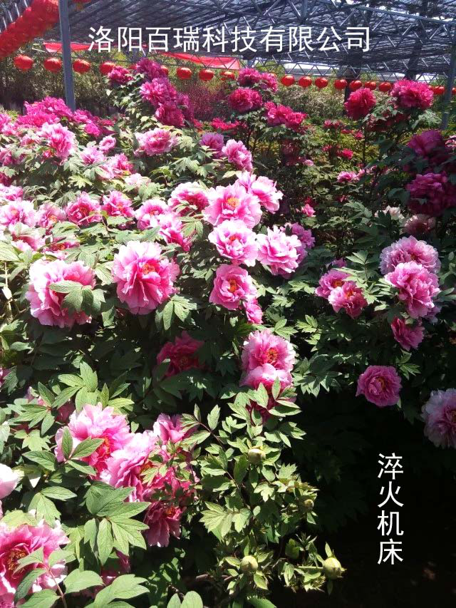 1587021571128222.png 圖片18.png